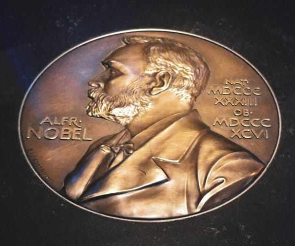 On the 2024 Nobel Prizes and the Rosalind Lee issue